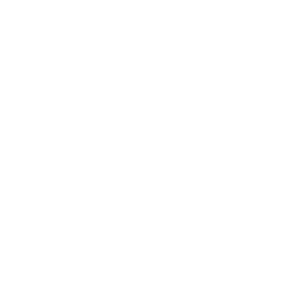 vice