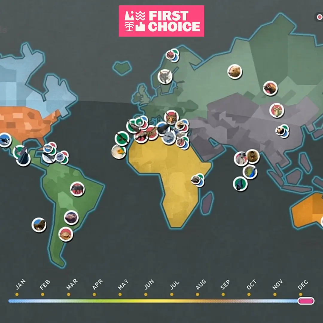 First Choice - Where in the world?