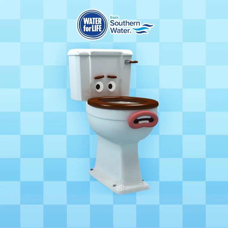 Southern Water – The Unflushables