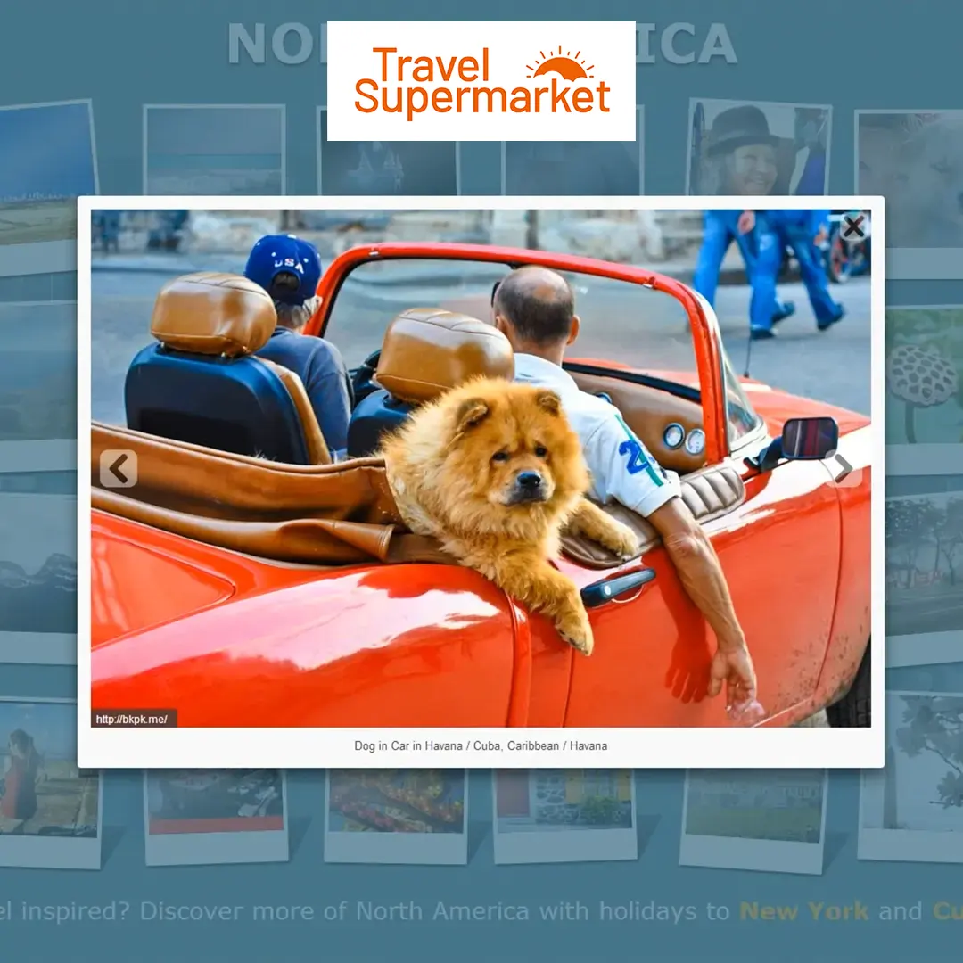 TravelSupermarket - Capture the Colour